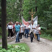 Pielgrzymi dochodzą do pustelni.