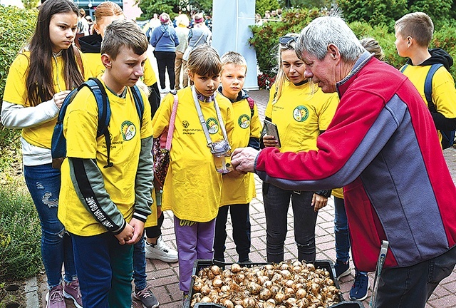 Sadzenie żonkili pod zielonogórskim hospicjum.