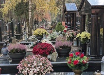 Znalezienie konkretnego pomnika bez pomocy jest prawie niemożliwe.