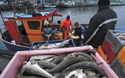 Polscy rybacy łowią w Bałtyku ok. 100 tys.  ton ryb rocznie.