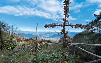 Tak „owocują” krzyże  w jednym z najstarszych sanktuariów maryjnych Europy. 29.11.2023 Mentorella, Włochy 