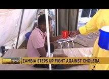 Zambia: Govt steps up anti-cholera campaign as deaths near 100