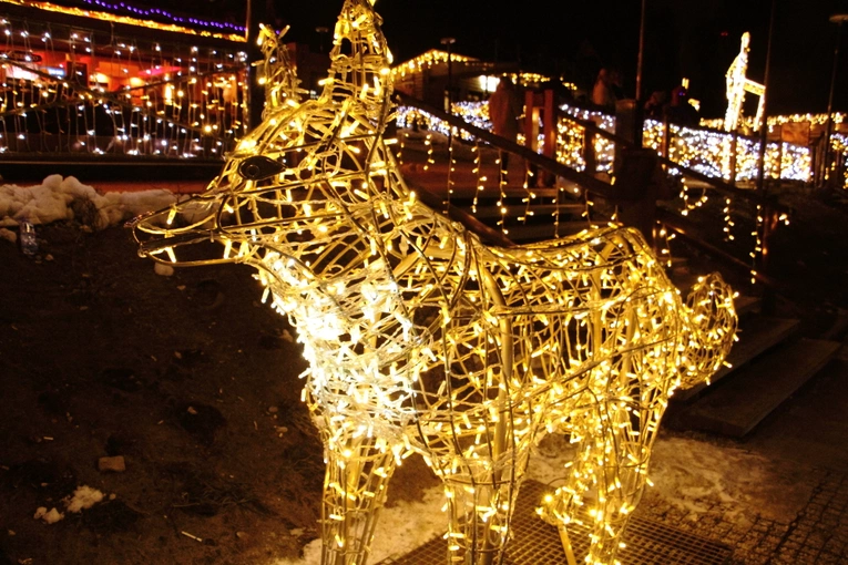 Kraina Światła po raz 7. na Gubałówce