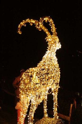 Kraina Światła po raz 7. na Gubałówce