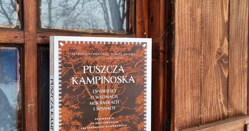 O płucach Warszawy