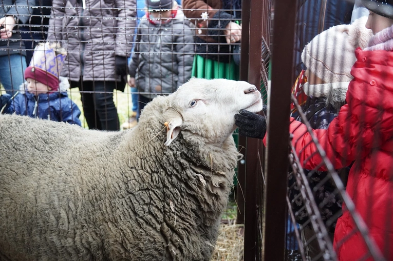 Orszak Trzech Króli w Nadolicach Wielkich i Małych 2024