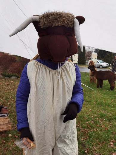 Orszak Trzech Króli w Mrozowie 2024