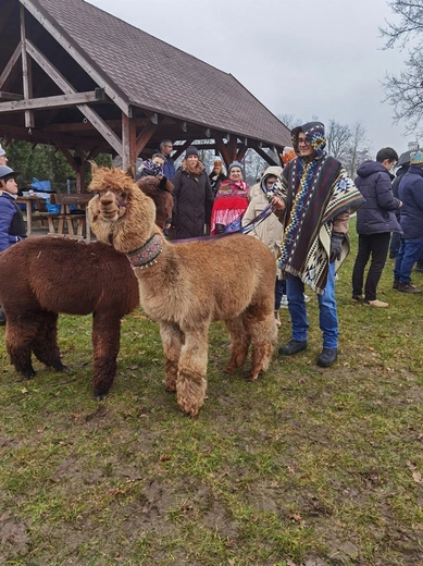 Orszak Trzech Króli w Mrozowie 2024