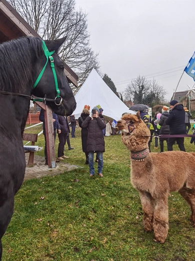 Orszak Trzech Króli w Mrozowie 2024