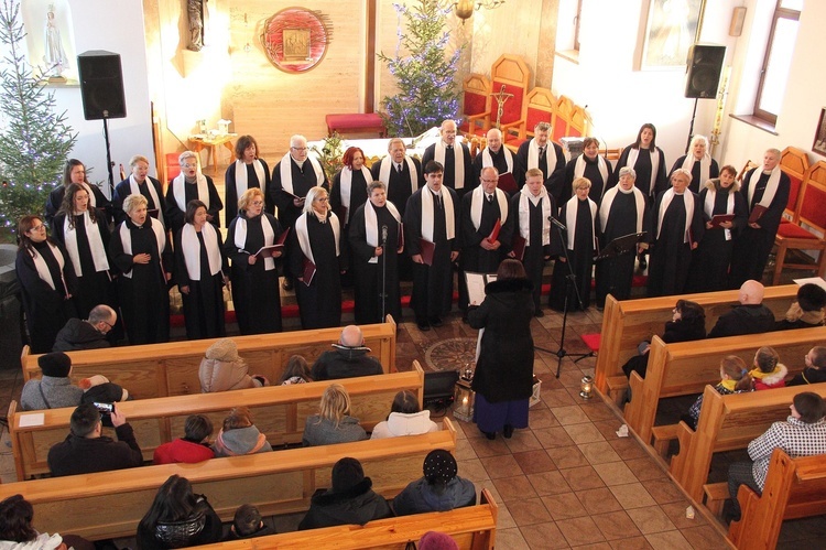 Poświęcenie organów w Siemianicach