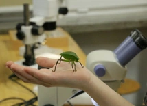 Noc Biologów, czyli bliższe spotkanie z przyrodą