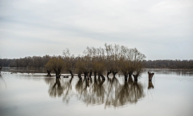 Kongo. 18 mln osób zagrożonych wielką wodą