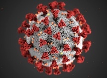 Co jeśli ten wirus wymknie się z laboratorium?