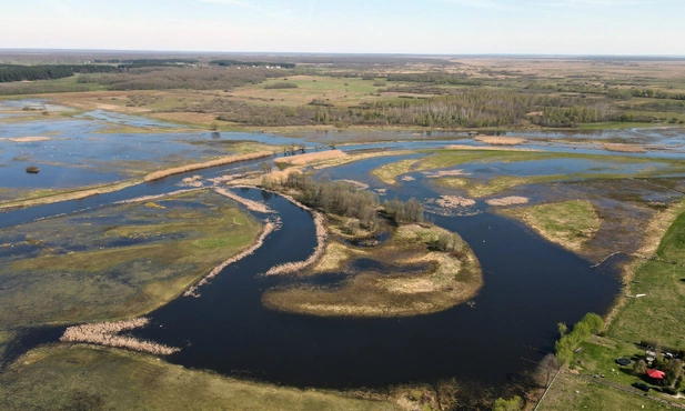 Piękne bagno