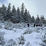 Ferie z widokiem na Giewont