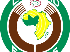 Terroryzm w Afryce to „narastające globalne zagrożenie”