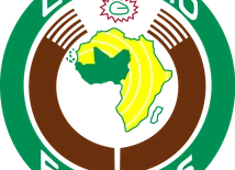 Terroryzm w Afryce to „narastające globalne zagrożenie”