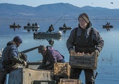 Rybak niesie skrzynię  pełną ryb po połowach w jeziorze Dojran. 1.02.2024 Dojran, Republika Macedonii Północnej