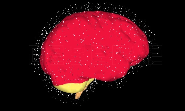 Naukowcy wydrukowali tkankę ludzkiego mózgu
