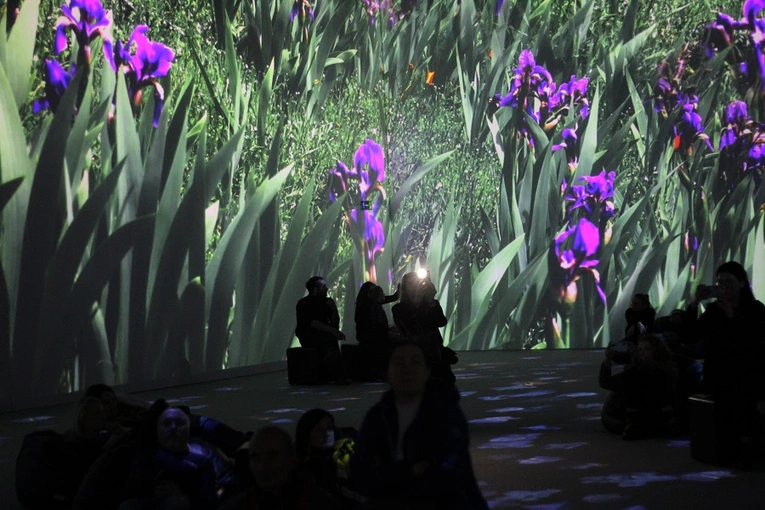 Van Gogh Multi-Sensory Exhibition