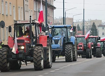 Elbląska manifestacja była jedną z największych w kraju.