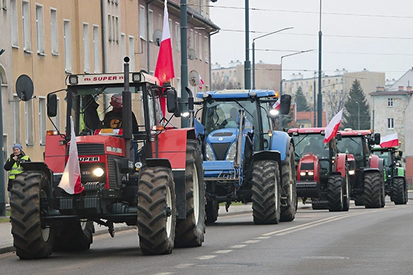 Elbląska manifestacja była jedną z największych w kraju.