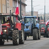 Elbląska manifestacja była jedną z największych w kraju.