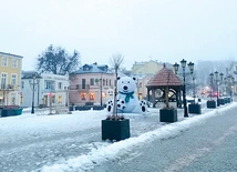 Biały niedźwiedź to znak rozpoznawczy miasta.