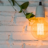 Przewodnik po żarówkach LED: Jak wybrać najlepsze oświetlenie do Twojego domu?