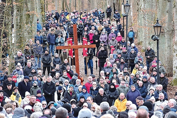 Na dróżkach w Wejherowie.