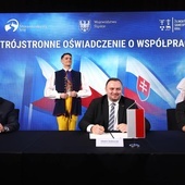 Śląskie. Regionalny Trójkąt Transgraniczny Polski, Czech i Słowacji