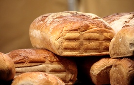 Najstarszy chleb na świecie