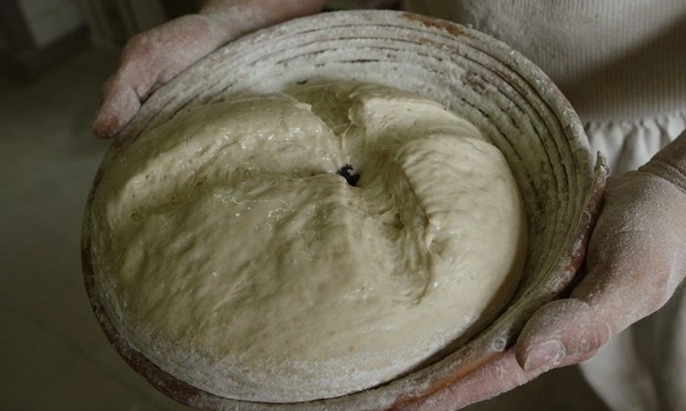 Jego i nasz chleb powszedni