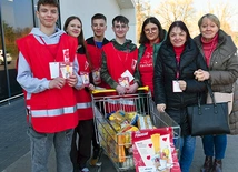 Dorosłych wolontariuszy wspiera młodzież. Na zdjęciu: akcja w zielonogórskim Chynowie.