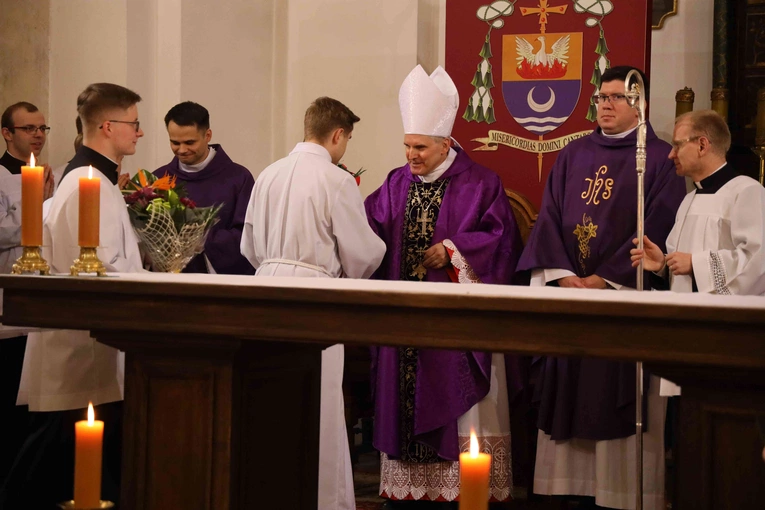 Lektorat i kandydatura