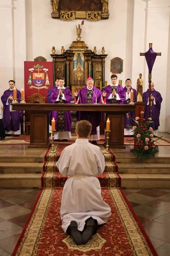 Lektorat i kandydatura