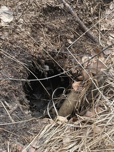 Droga niecodzienności