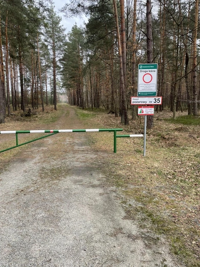 Droga niecodzienności