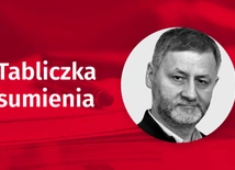 Troskliwość likwidatora