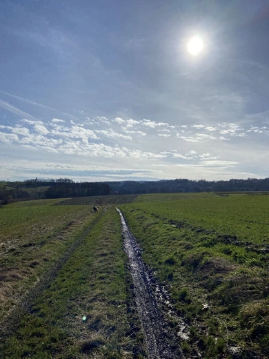 Samotna podróż, ale czy na pewno?