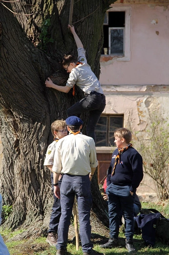 Dzień Modlitw za FSE 2024 - Skauci Europy w Henrykowie