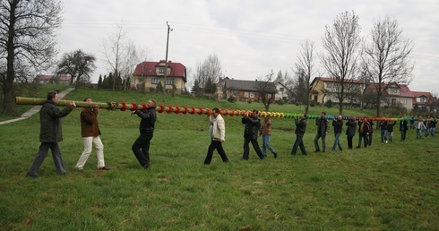 Konkurs w Lipnicy Murowanej. Zwycięska palma mierzy ponad 27 metrów