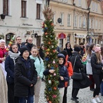 Niedziela Palmowa w Sandomierzu