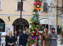 Niedziela Palmowa w Sandomierzu