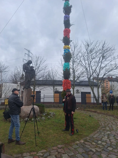 Jak górale palmę ustawiali