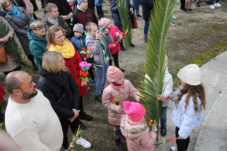 Płock. Niedziela Palmowa w katedrze