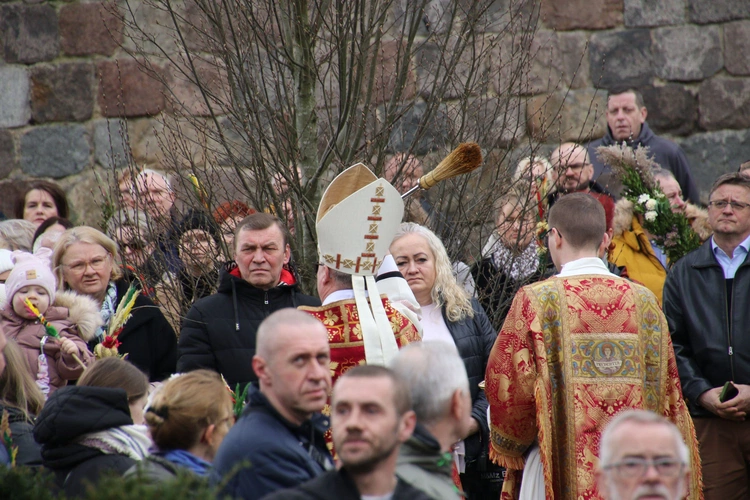 Płock. Niedziela Palmowa w katedrze