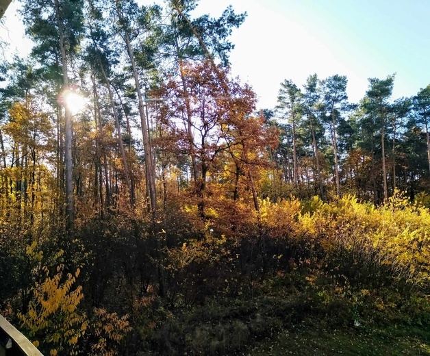 Bohaterowie mojej miejscowości