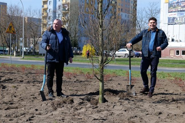 Stalowa Wola ma być zielonym i ekologicznym miastem.