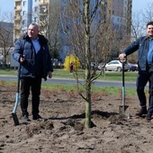 Stalowa Wola ma być zielonym i ekologicznym miastem.